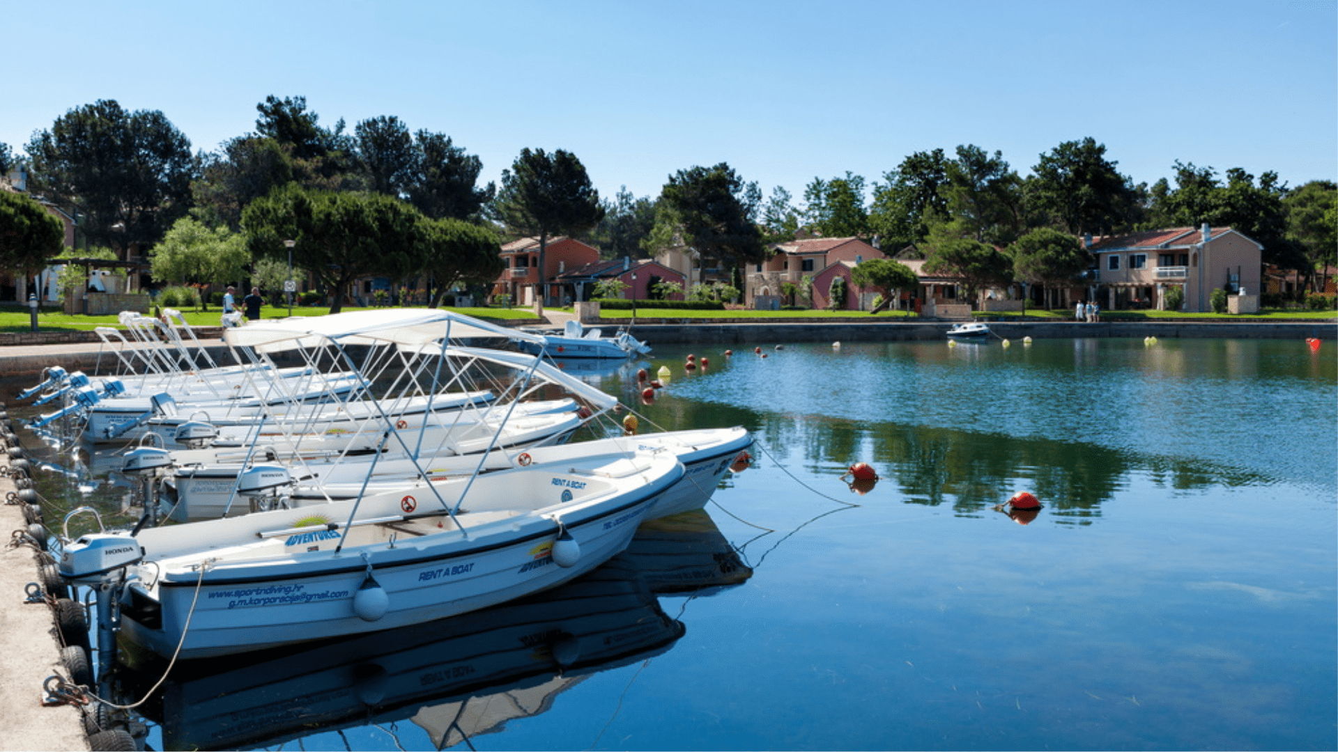 boats