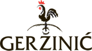 Vina Geržinić