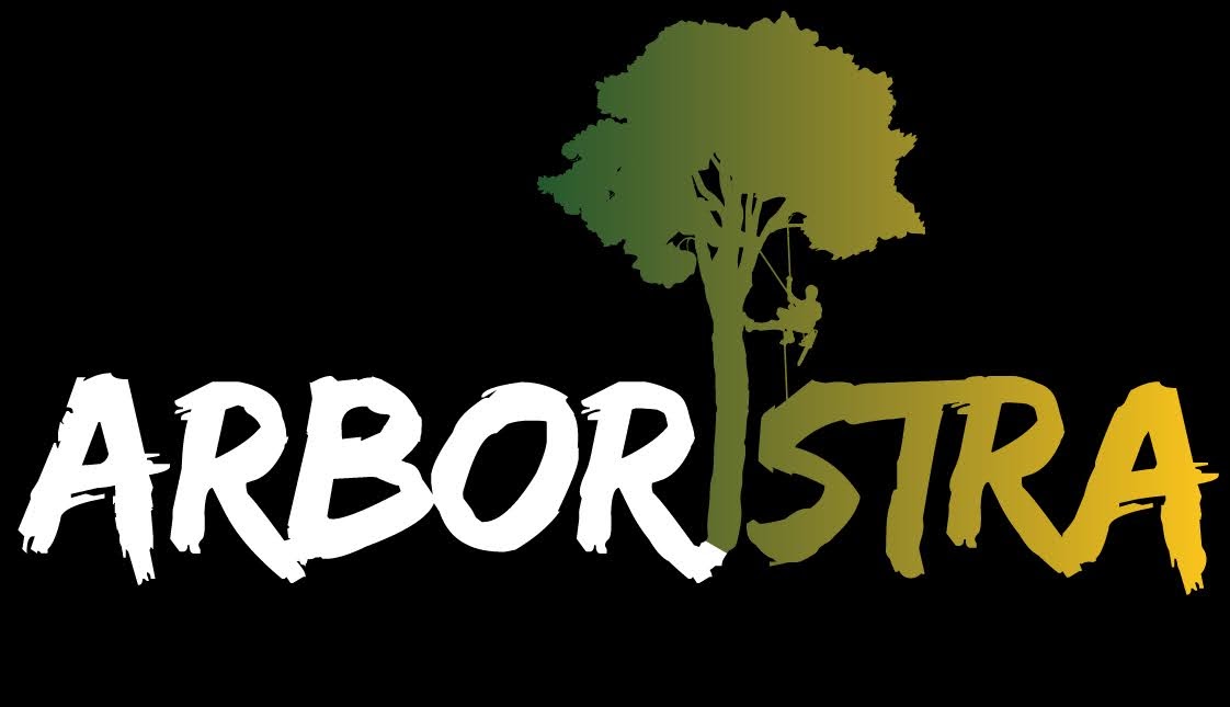 Arborista Riki